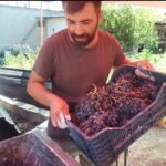 AMELİYATSIZ TEDAVİ YÖNTEMİ