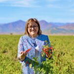 KÖSE; ÇİFTÇİ BİRLİKLERİ BİR ALTERNATİFTİR