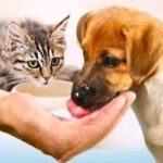 BAŞKAN ULUŞAN VE YÖNETİMİ HALKIN GÖNLÜNDE