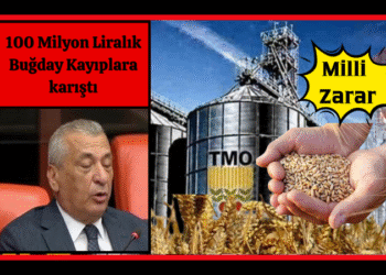 ÖZTÜRKMEN,”100 MİLYON LİRALIK BUĞDAY KAYIPLARA KARIŞTI”