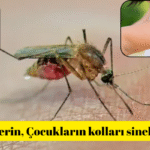 BİR YAZ BÖYLE ISIRIKLARLA GEÇİYOR