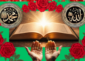 BU GECE PEYGAMBERİMİZ’İN (S.A.S.) DÜNYA’YA TEŞRİFLERİ